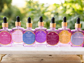 Small-batch flower essence elixir bottles from Botanical Activations in natural light