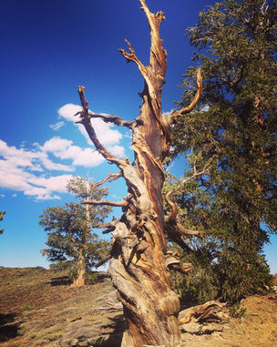 photo_2022-08-08 13.13.26.jpeg