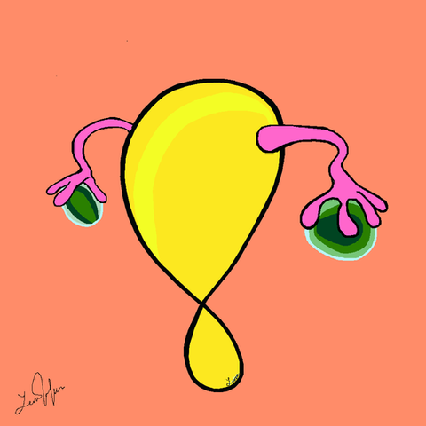 pink and yellow.png