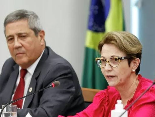 Tereza e Braga Netto são “cotadíssimos” para vice, diz Bolsonaro