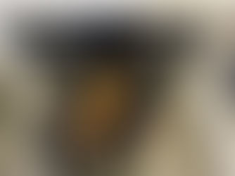 PF diz não haver mandante das mortes de Bruno Pereira e Dom Phillips