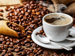 Governo do Rio terá espaço no Festival do Café promovendo incentivo à cafeicultura fluminense