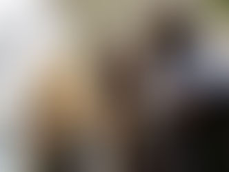 URGENTE: Talibã acaba de derrubar o governo do Afeganistão