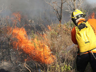 COMBATE À QUEIMADAS E INCÊNDIOS FLORESTAIS