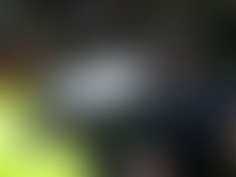 CPI do acidente da Chapecoense aprova relatório final