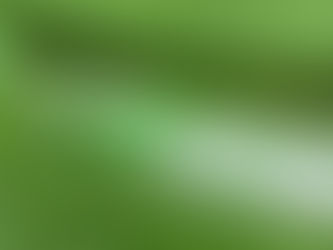 Congresso aprova uso de avião agrícola no combate a incêndio florestal