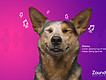 IP_Page_Banner_GivingBack.jpg
