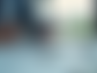 Analyzing blueprints and models to maximize project profitability.