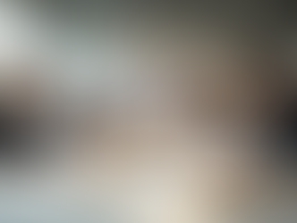 The Evolution of Architecture Degrees in the U S - Understanding New Paths to Licensure and Inclusion