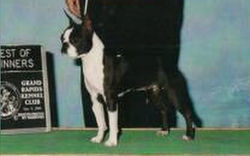 UntitledMA32094483-0001