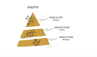Violette.png