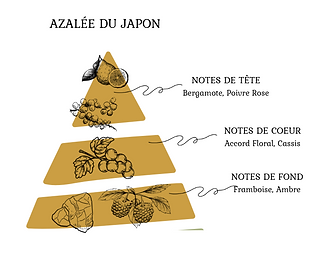 Capture d'écran 2025-07-12 162910.png