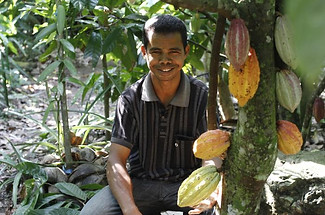 markus_cocoa_farmer.jpeg