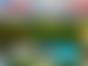 BOHOL TOUR PACKAGE PROMO