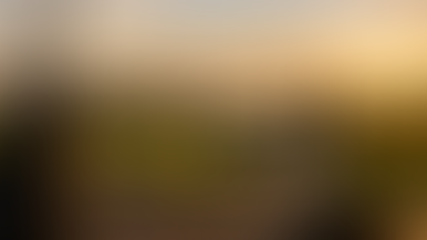 Golf and Wine: The New Trend in Premium Tourism