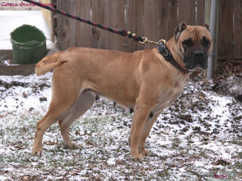 Dec09Luna11.jpg