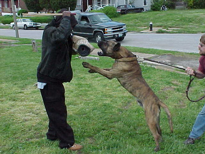 May04acbw15.jpg
