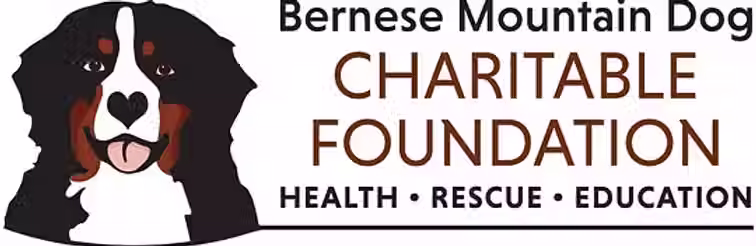 BMDCF-logo-email-padded_edited.avif