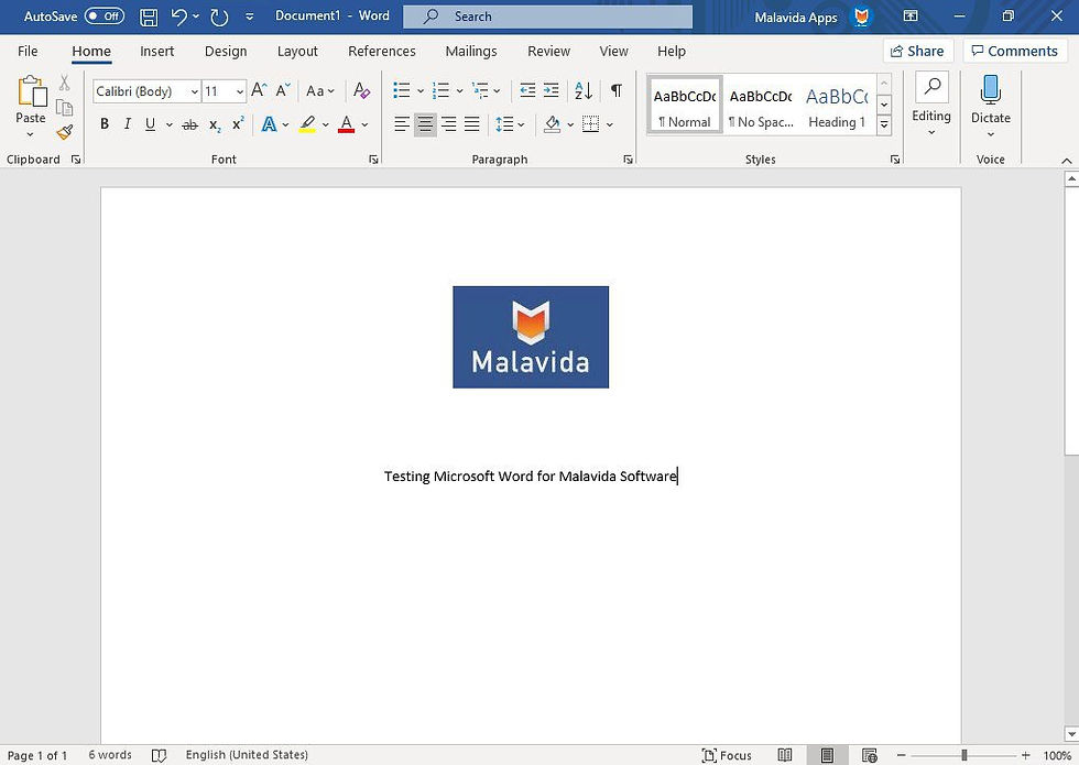 Microsoft Word