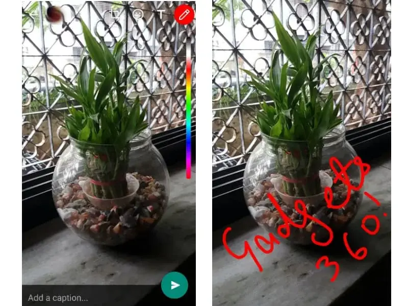 whatsapp-new-feature
