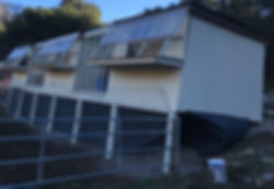Pigeon_loft.jpeg