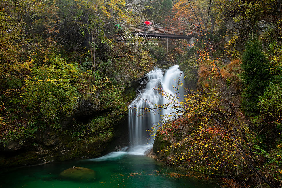 erikapoltronieri_Slovenia