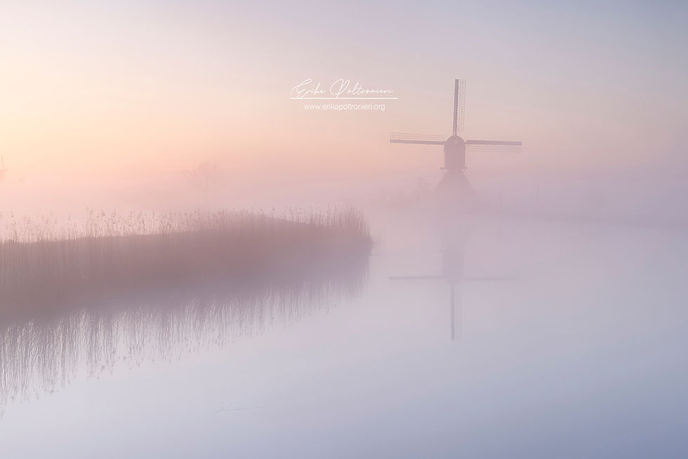 erikapoltronieri_Olanda