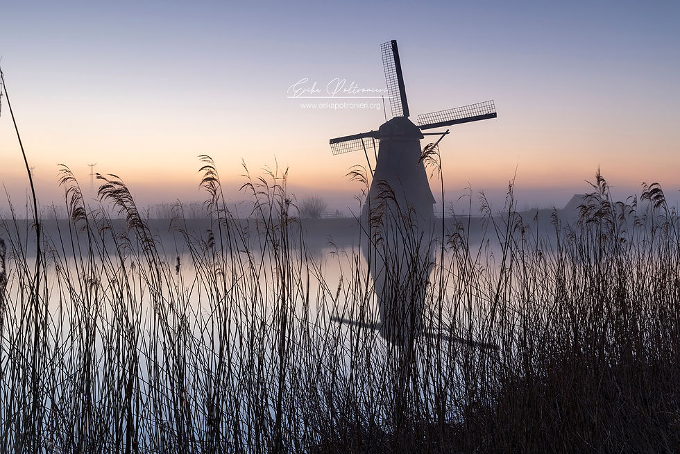 erikapoltronieri_Olanda