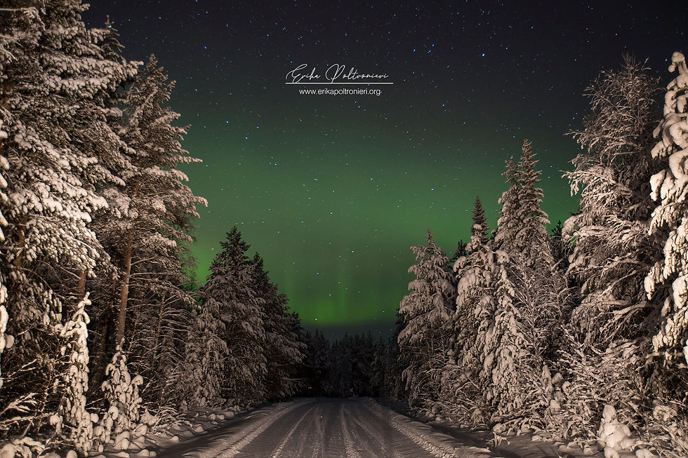 erikapoltronieri_LapponiaFinlandese