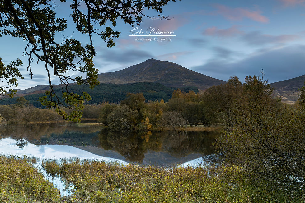 erikapoltronieri_Scozia