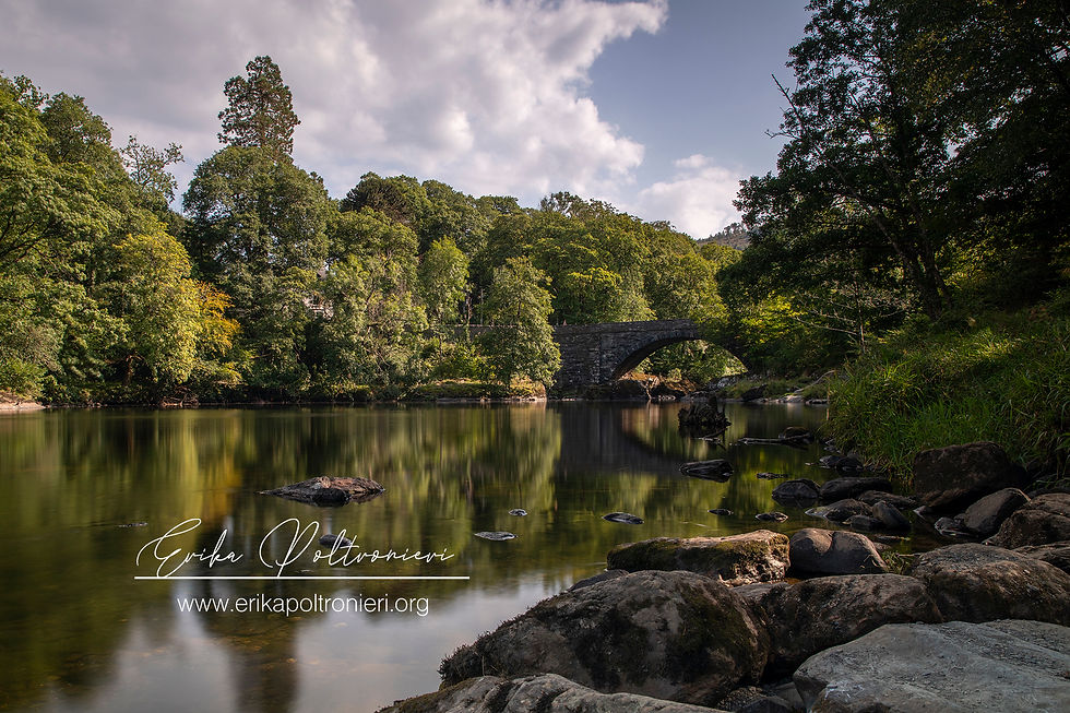 erikapoltronieri_Wales