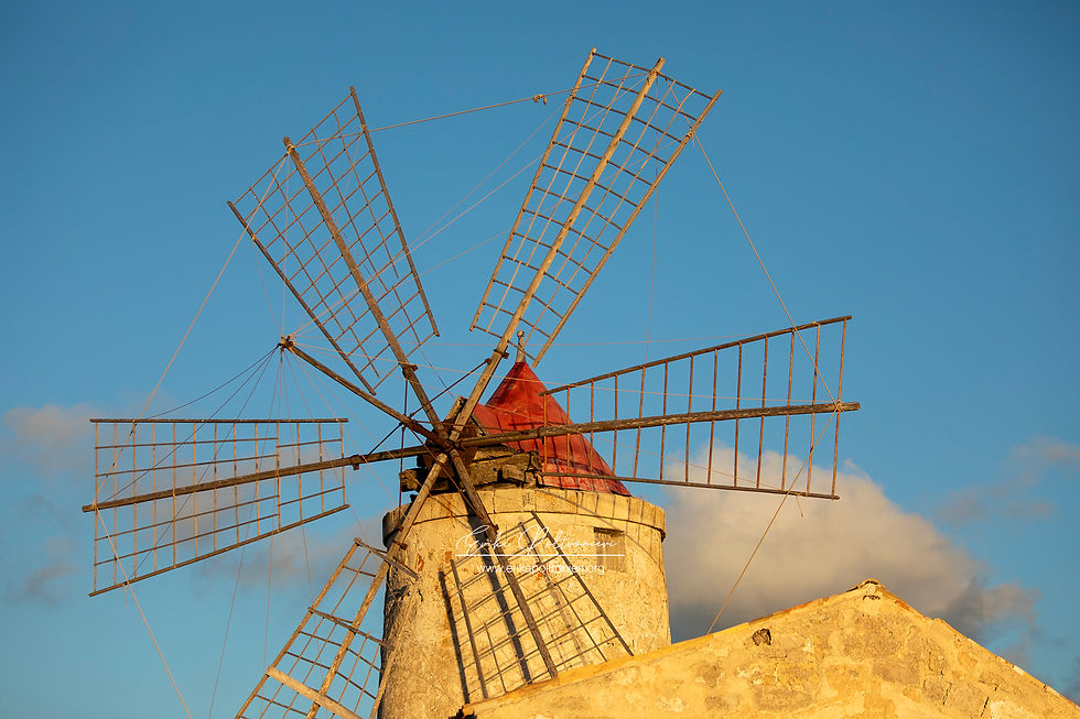 erikapoltronieri_Paceco