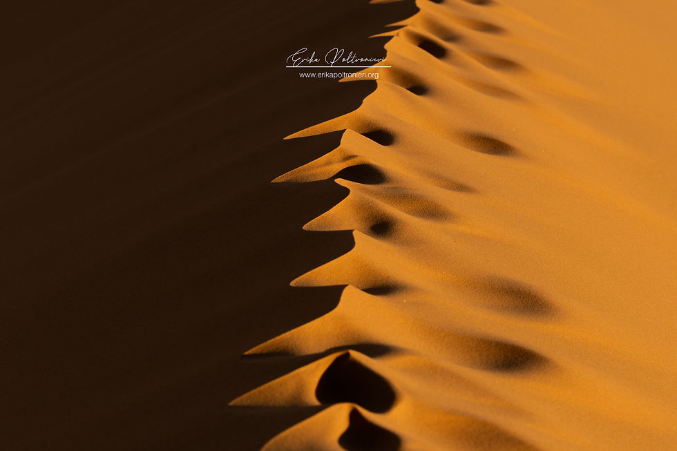 erikapoltronieri_Marocco