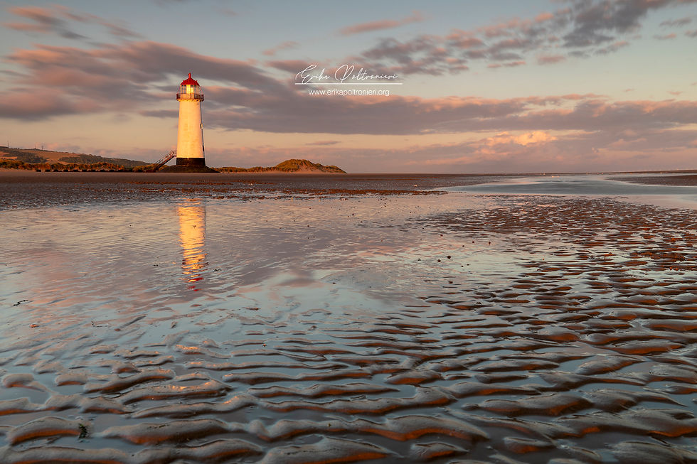 erikapoltronieri_Wales