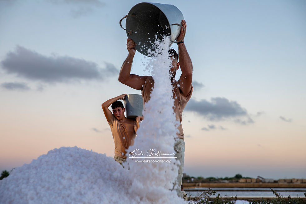 erikapoltronieri_Paceco