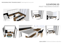 PROJET TROCADERO EX BECKET Elévations 3D