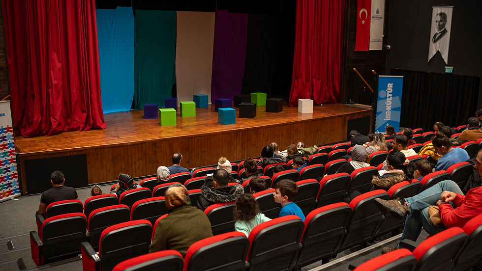 Martı Beyazı