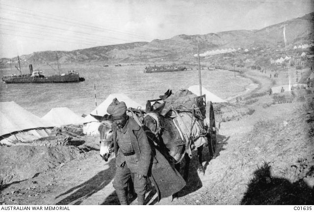 26_6 An unidentified Indian driver guides his pair of mules and AT (artillery transport) c