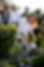 ChatGPT Image Jul 26, 2026, 10_50_22 AM.png