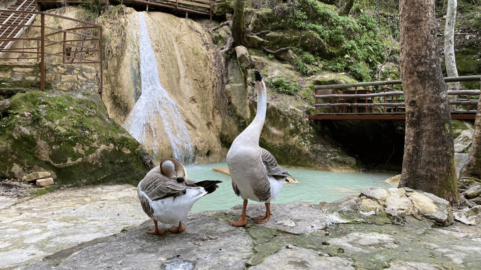 Visitors enjoying the forest trail near Hidden Paradise Waterfall on a Turcome tour from Alanya.

