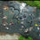 Miniatura: ECO CAMINATA: LAS GACHAS