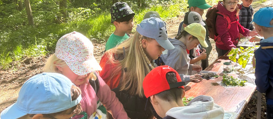 Klassenzimmer gegen Waldboden getauscht: Die dritten Klassen bei den Waldjugendspielen
