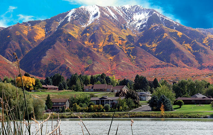 tree services and tree removal Salem, Utah by Budget Tree Care