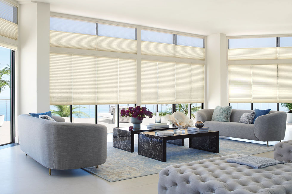 2019_DU_PV_Duolite_India Silk_Whisper Sheer_Living Room.jpg