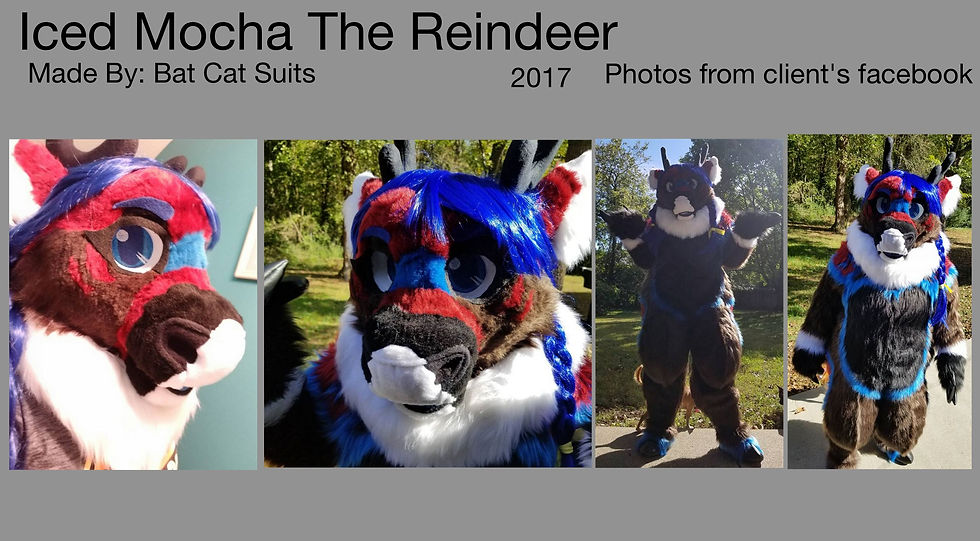 Iced Mocha the reindeer 