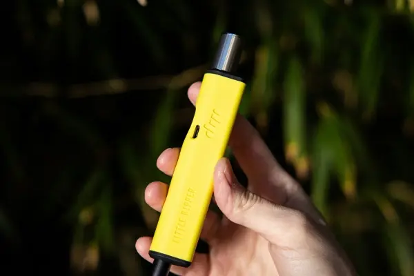 Flower vs Vape pen