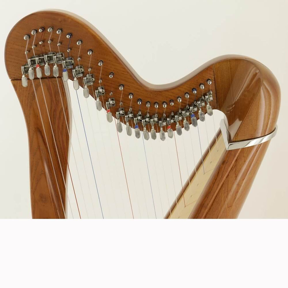 縮圖：Mikel Harp: Aster 22st
