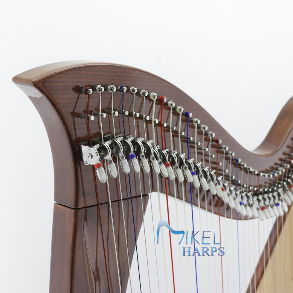 縮圖：Mikel Harp: Saffron 34st