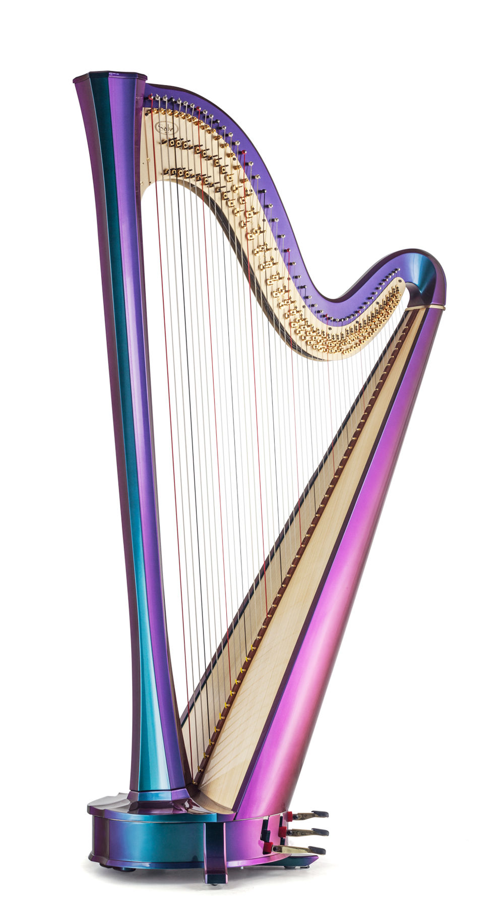 Salvi RAINBOW SG
