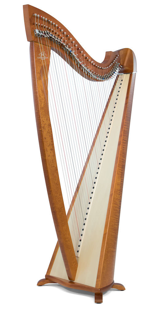 縮圖：CAMAC Excalibur 38st